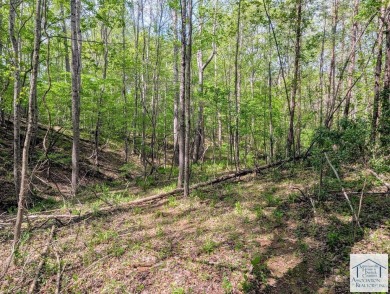 Located in Patrick County, this 12.15 acre tract offers rolling on Gordon Trent Golf Course, Inc. in Virginia - for sale on GolfHomes.com, golf home, golf lot