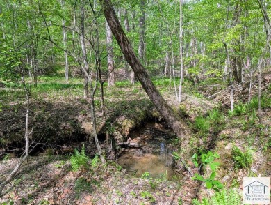 Located in Patrick County, this 12.15 acre tract offers rolling on Gordon Trent Golf Course, Inc. in Virginia - for sale on GolfHomes.com, golf home, golf lot