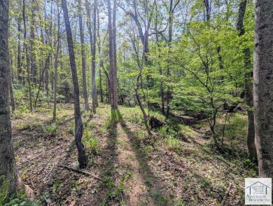 Located in Patrick County, this 12.15 acre tract offers rolling on Gordon Trent Golf Course, Inc. in Virginia - for sale on GolfHomes.com, golf home, golf lot