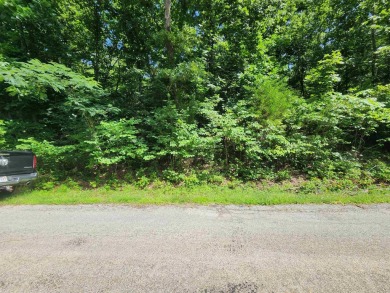 Lake Thunderbird, LAKE-VIEW LOT..e see the view from the point on Cherokee Village North Course in Arkansas - for sale on GolfHomes.com, golf home, golf lot