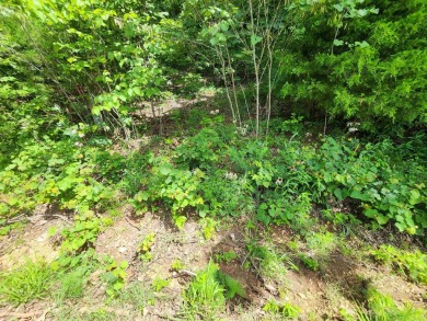 Lake Thunderbird, LAKE-VIEW LOT..e see the view from the point on Cherokee Village North Course in Arkansas - for sale on GolfHomes.com, golf home, golf lot