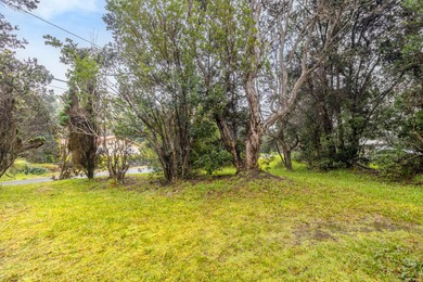 STVR or TAR, ( short term rental) this is a income producing on Volcano Golf and Country Club in Hawaii - for sale on GolfHomes.com, golf home, golf lot