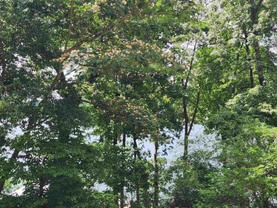 Lake Thunderbird, LAKE-VIEW LOT..e see the view from the point on Cherokee Village North Course in Arkansas - for sale on GolfHomes.com, golf home, golf lot