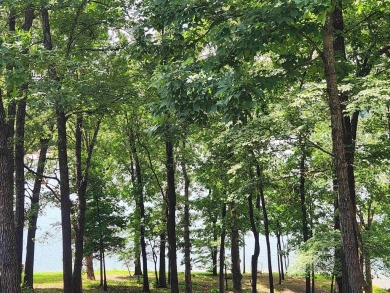 Lake Thunderbird, LAKE-VIEW LOT..e see the view from the point on Cherokee Village North Course in Arkansas - for sale on GolfHomes.com, golf home, golf lot
