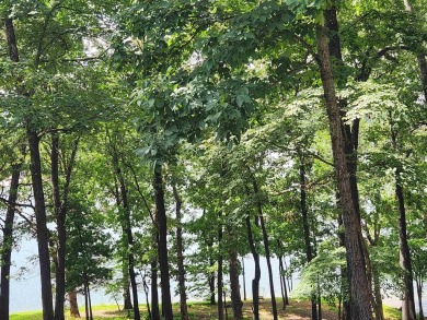 Lake Thunderbird, LAKE-VIEW LOT..e see the view from the point on Cherokee Village North Course in Arkansas - for sale on GolfHomes.com, golf home, golf lot