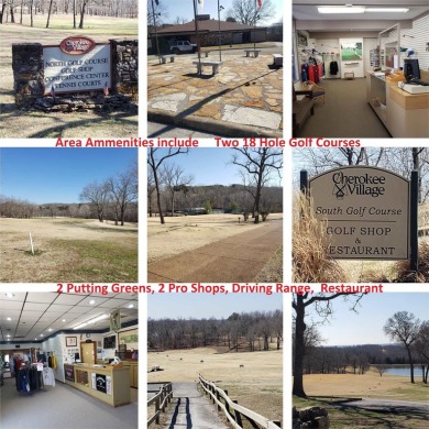 Lake Thunderbird, LAKE-VIEW LOT..e see the view from the point on Cherokee Village North Course in Arkansas - for sale on GolfHomes.com, golf home, golf lot