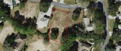 Build your dream home here, on the Nature Coast in the gated on Black Diamond Ranch Golf Course in Florida - for sale on GolfHomes.com, golf home, golf lot