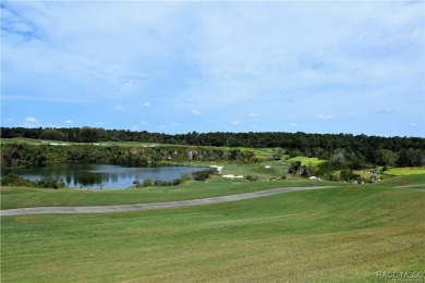 Build your dream home here, on the Nature Coast in the gated on Black Diamond Ranch Golf Course in Florida - for sale on GolfHomes.com, golf home, golf lot