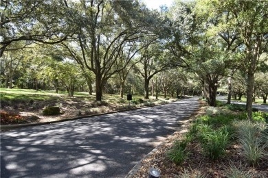 Build your dream home here, on the Nature Coast in the gated on Black Diamond Ranch Golf Course in Florida - for sale on GolfHomes.com, golf home, golf lot