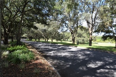 Build your dream home here, on the Nature Coast in the gated on Black Diamond Ranch Golf Course in Florida - for sale on GolfHomes.com, golf home, golf lot