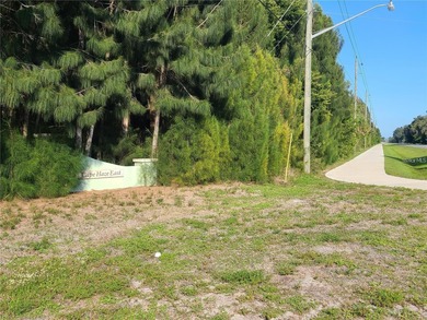 11,000 sq. ft. residential building lot located in the deed on Rotonda Golf and Country Club The Links Course in Florida - for sale on GolfHomes.com, golf home, golf lot