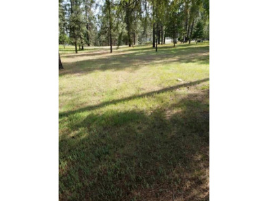 Welcome to the Chewelah Golf and Country Club. This larger .38 on Chewelah Golf and Country Club  in Washington - for sale on GolfHomes.com, golf home, golf lot