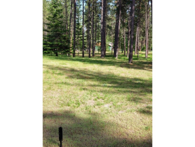 This Eagle Drive Rd Lot has alot to offer, with the water on Chewelah Golf and Country Club  in Washington - for sale on GolfHomes.com, golf home, golf lot