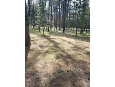 This Eagle Drive Rd Lot has alot to offer, with the water on Chewelah Golf and Country Club  in Washington - for sale on GolfHomes.com, golf home, golf lot