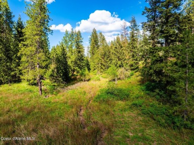 Beautiful 2 acre North Hayden building site with water and sewer on Avondale Golf and Tennis Club in Idaho - for sale on GolfHomes.com, golf home, golf lot