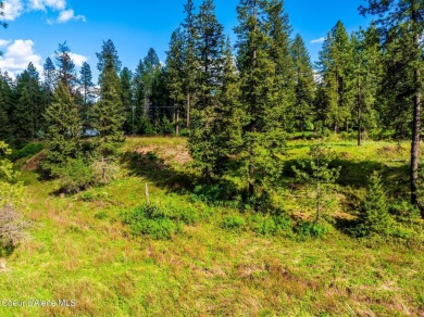 Beautiful 2 acre North Hayden building site with water and sewer on Avondale Golf and Tennis Club in Idaho - for sale on GolfHomes.com, golf home, golf lot
