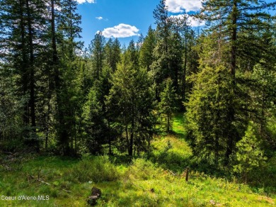 Beautiful 2 acre North Hayden building site with water and sewer on Avondale Golf and Tennis Club in Idaho - for sale on GolfHomes.com, golf home, golf lot