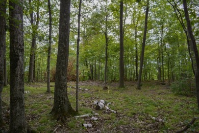 Don't miss this rare opportunity to own one of the last vacant on Horseshoe Bay Golf Club in Wisconsin - for sale on GolfHomes.com, golf home, golf lot