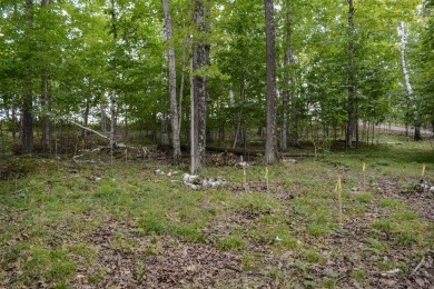 Don't miss this rare opportunity to own one of the last vacant on Horseshoe Bay Golf Club in Wisconsin - for sale on GolfHomes.com, golf home, golf lot