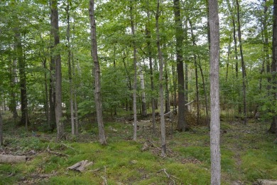 Don't miss this rare opportunity to own one of the last vacant on Horseshoe Bay Golf Club in Wisconsin - for sale on GolfHomes.com, golf home, golf lot