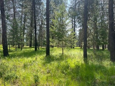 Don't miss this opportunity to own a perfectly located timbered on Chewelah Golf and Country Club  in Washington - for sale on GolfHomes.com, golf home, golf lot