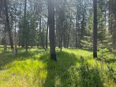 Don't miss this opportunity to own a perfectly located timbered on Chewelah Golf and Country Club  in Washington - for sale on GolfHomes.com, golf home, golf lot