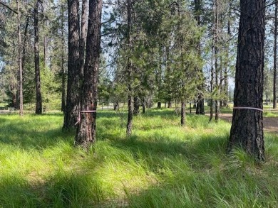 Don't miss this opportunity to own a perfectly located timbered on Chewelah Golf and Country Club  in Washington - for sale on GolfHomes.com, golf home, golf lot
