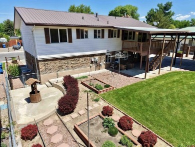 Aaron Tobler, RE/MAX Alpine View, C: , aaron.tobler,  : Come on Black Canyon Golf Club At Montrose in Colorado - for sale on GolfHomes.com, golf home, golf lot