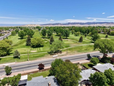 Aaron Tobler, RE/MAX Alpine View, C: , aaron.tobler,  : Come on Black Canyon Golf Club At Montrose in Colorado - for sale on GolfHomes.com, golf home, golf lot