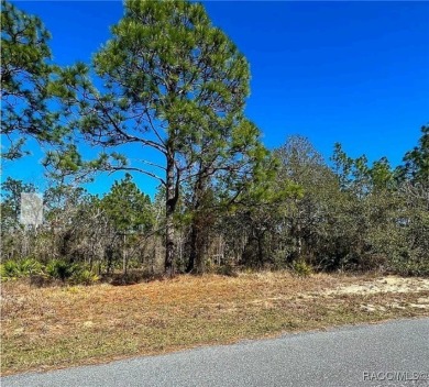Great building lot, .28 acres.  Country Club, golf, tennis on Sugarmill Woods Golf and Country Club in Florida - for sale on GolfHomes.com, golf home, golf lot