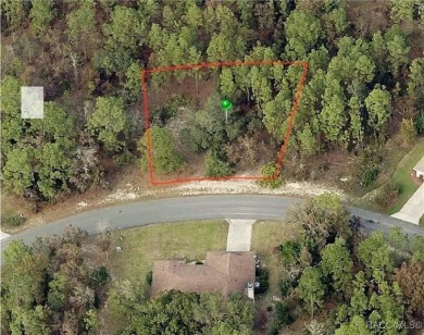 Great building lot, .28 acres.  Country Club, golf, tennis on Sugarmill Woods Golf and Country Club in Florida - for sale on GolfHomes.com, golf home, golf lot