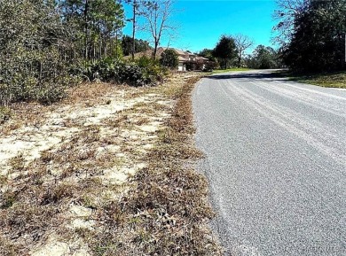 Great building lot, .28 acres.  Country Club, golf, tennis on Sugarmill Woods Golf and Country Club in Florida - for sale on GolfHomes.com, golf home, golf lot
