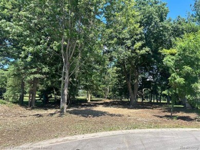 Beautiful vacant lot backs up to a golf course.Black River C.C on Black River Country Club in Michigan - for sale on GolfHomes.com, golf home, golf lot