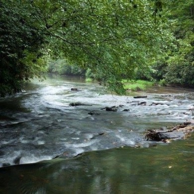 Tucked between Ellijay and Blue Ridge in the sought-after on White Path Golf Club in Georgia - for sale on GolfHomes.com, golf home, golf lot