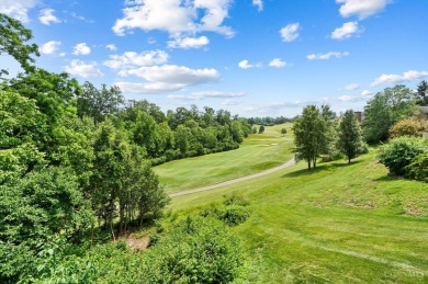Open house Friday 530 - 700pm. Move-in ready and professionally on Ivy Hills Country Club in Ohio - for sale on GolfHomes.com, golf home, golf lot