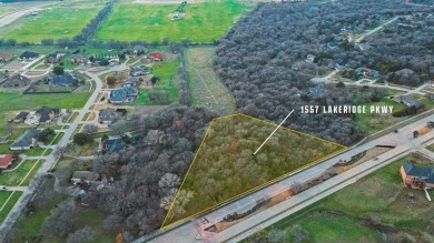 Build your dream luxury home in the exclusive Lake Ridge on Tangle Ridge Golf Club in Texas - for sale on GolfHomes.com, golf home, golf lot