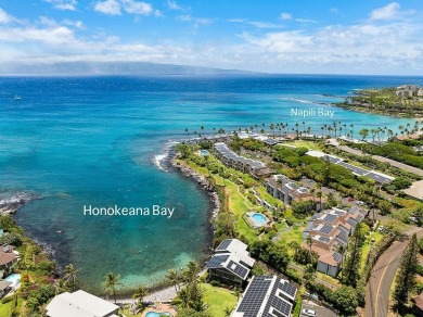 Tropical Modern Oceanfront Villa with one of the greatest sunset on Kapalua Golf Club - Bay Course in Hawaii - for sale on GolfHomes.com, golf home, golf lot