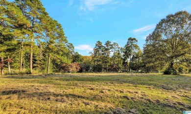 Beautiful property overlooking Oxmoor Valley RTJ Golf Course. 2 on Robert Trent Jones - Oxmoor Valley Golf Course in Alabama - for sale on GolfHomes.com, golf home, golf lot