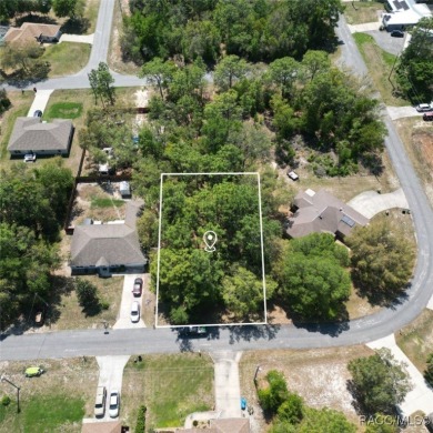 Prime Homesite in Citrus Springs - Just Minutes from Dunnellon!

 on Citrus Springs Country Club in Florida - for sale on GolfHomes.com, golf home, golf lot