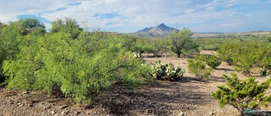 Great 1/4 acre home lot bordering Turtleback Mountain Resort but on Sierra Del Rio Golf Club in New Mexico - for sale on GolfHomes.com, golf home, golf lot