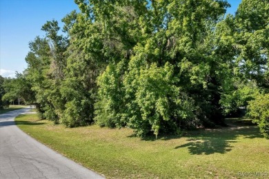Come build you new dream home on this stunning lot in Citrus on Pine Ridge Community Golf and Country Club in Florida - for sale on GolfHomes.com, golf home, golf lot