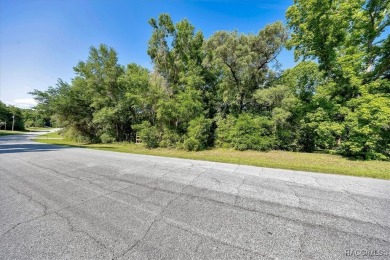 Come build you new dream home on this stunning lot in Citrus on Pine Ridge Community Golf and Country Club in Florida - for sale on GolfHomes.com, golf home, golf lot