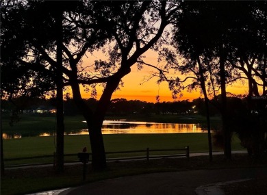 Spectacular Pool Home with Unmatched Views in Timber Pines
 on Timber Pines Golf Course in Florida - for sale on GolfHomes.com, golf home, golf lot