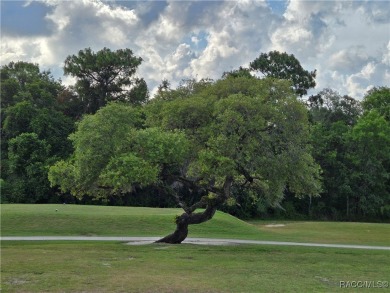 Seller Promo in this home! This 2020 sq. ft. home on a on Twisted Oaks Golf Club in Florida - for sale on GolfHomes.com, golf home, golf lot