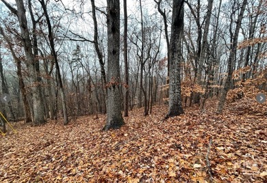 Nestled in the picturesque foothills of the Blue Ridge Mountains on The Trail At Chickasaw Pointe in South Carolina - for sale on GolfHomes.com, golf home, golf lot