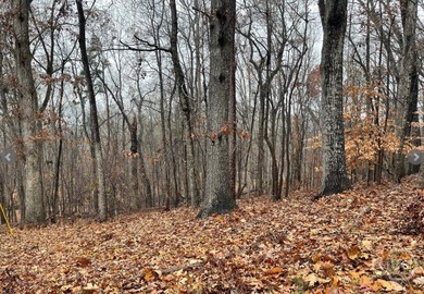 Nestled in the picturesque foothills of the Blue Ridge Mountains on The Trail At Chickasaw Pointe in South Carolina - for sale on GolfHomes.com, golf home, golf lot