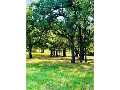 The beautiful double lots are located in White Bluff Resort on White Bluff Resort - Old Course in Texas - for sale on GolfHomes.com, golf home, golf lot