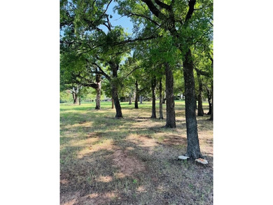 The beautiful double lots are located in White Bluff Resort on White Bluff Resort - Old Course in Texas - for sale on GolfHomes.com, golf home, golf lot