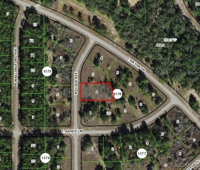 Buildable homesite in Citrus Springs offering an incredible on Citrus Springs Country Club in Florida - for sale on GolfHomes.com, golf home, golf lot