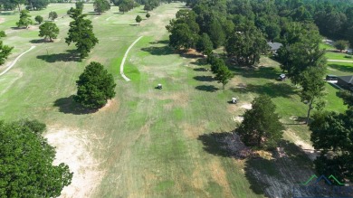 Nestled within the serene surroundings of the classic Longview on Longview Country Club in Texas - for sale on GolfHomes.com, golf home, golf lot